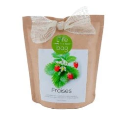 LIFE IN A BAG Plante FRAISE DES BOIS