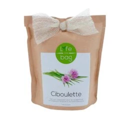 LIFE IN A BAG Plante CIBOULETTE