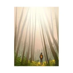 Vissevasse Affiche INTO THE WOODS