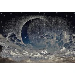 Papier Peint Panoramique XL MOONLIGHT