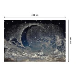 Papier Peint Panoramique XL MOONLIGHT -Décoration D'intérieur 1773499 papier peint panoramique xl moonlight 400 x 270cm