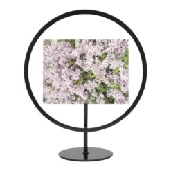 Umbra Cadre Photo UMEA