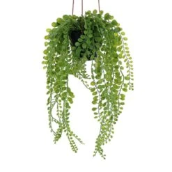 Plante Artificielle ELAIA