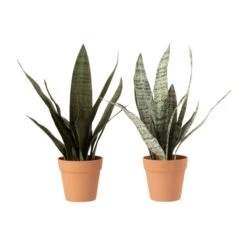 Plante Artificielle SANSEVIERIA